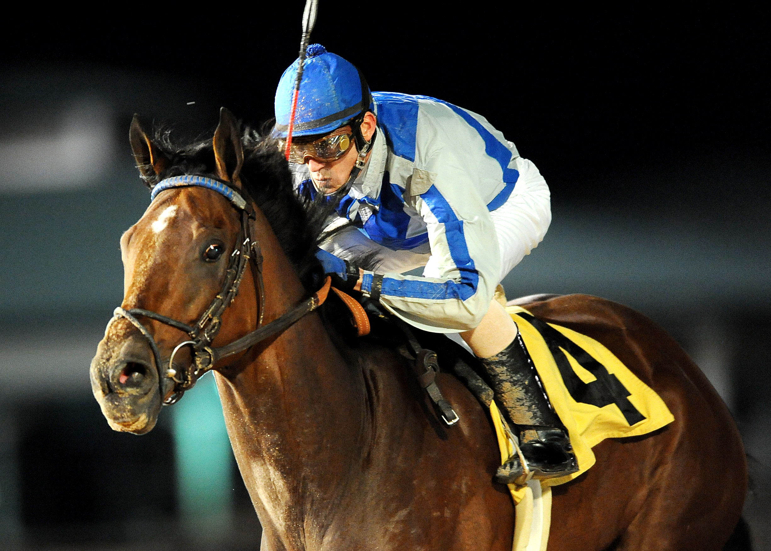 Cease/Maxxam Gold Cup
