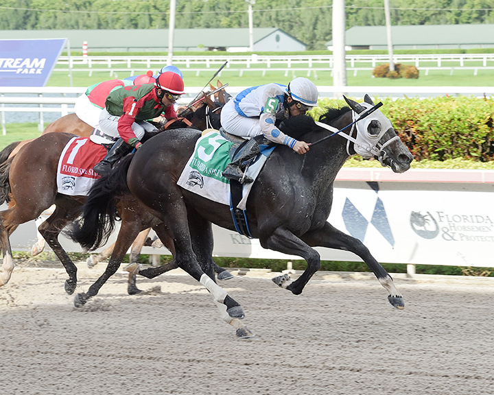 Ceci Valentina wins the 2019 Susan's Girl Stakes at Gulfstream Park