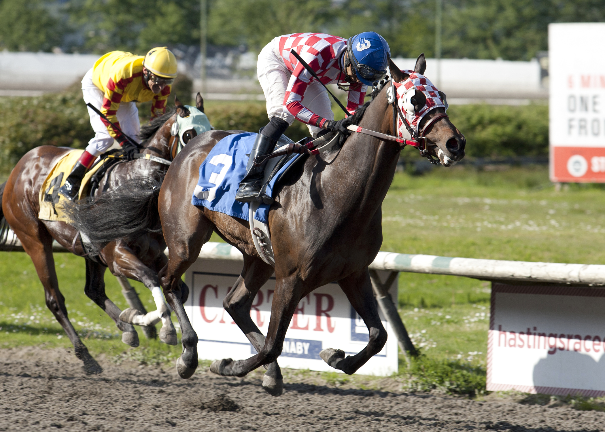 Cederberg wins the Jim Coleman Province Stakes