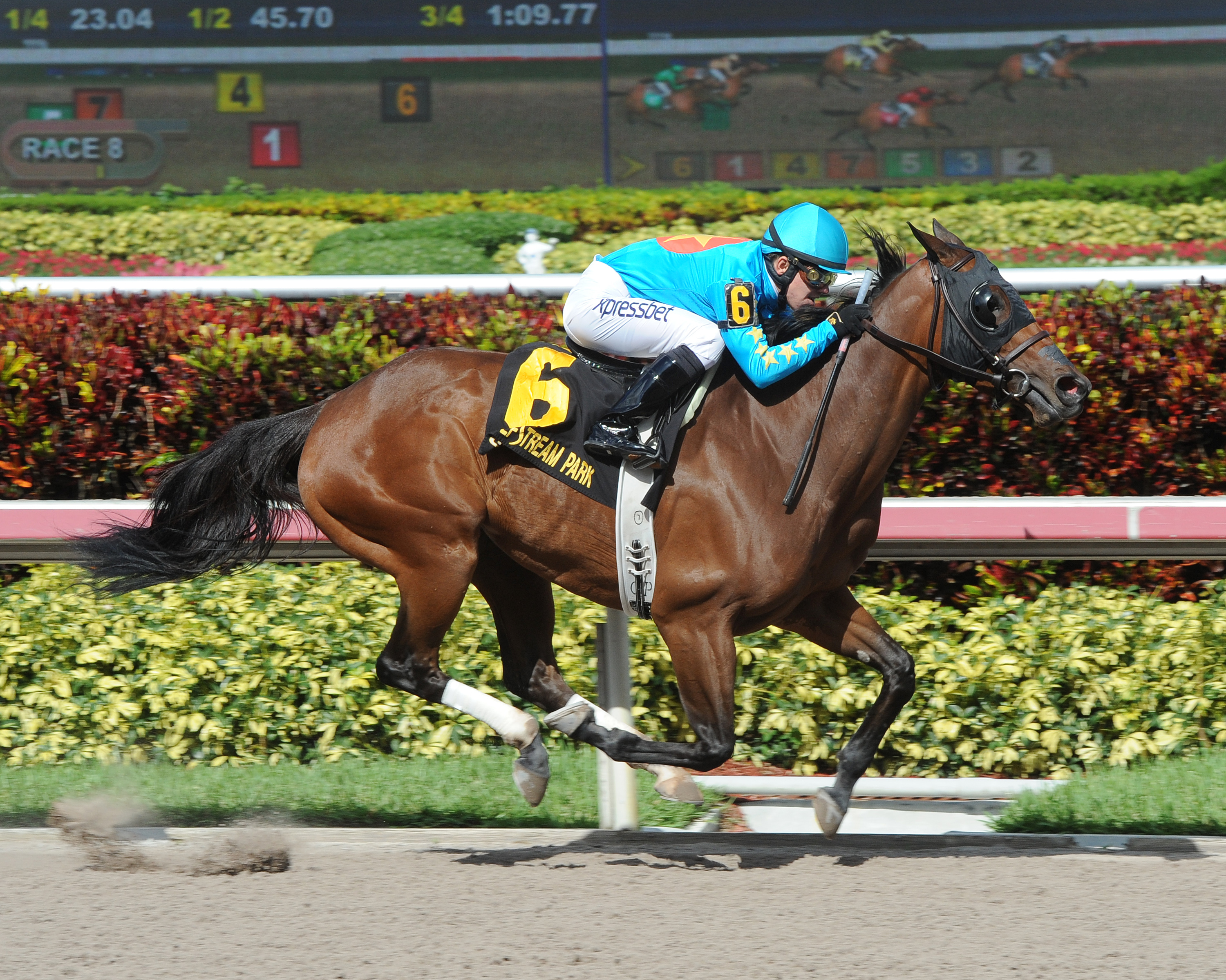 Celebrity Star 5-3-2015