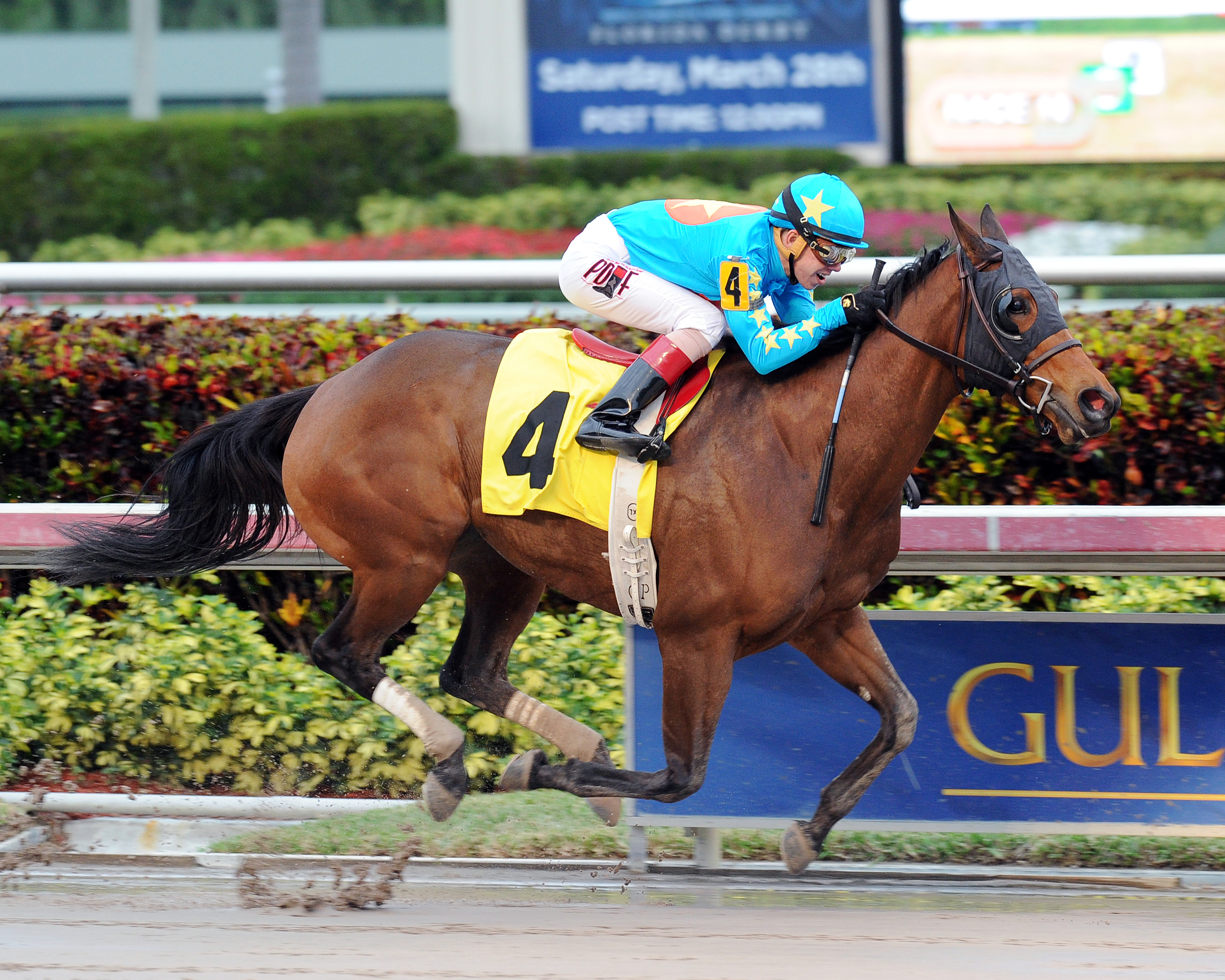 Celebrity Star wins an allowance race