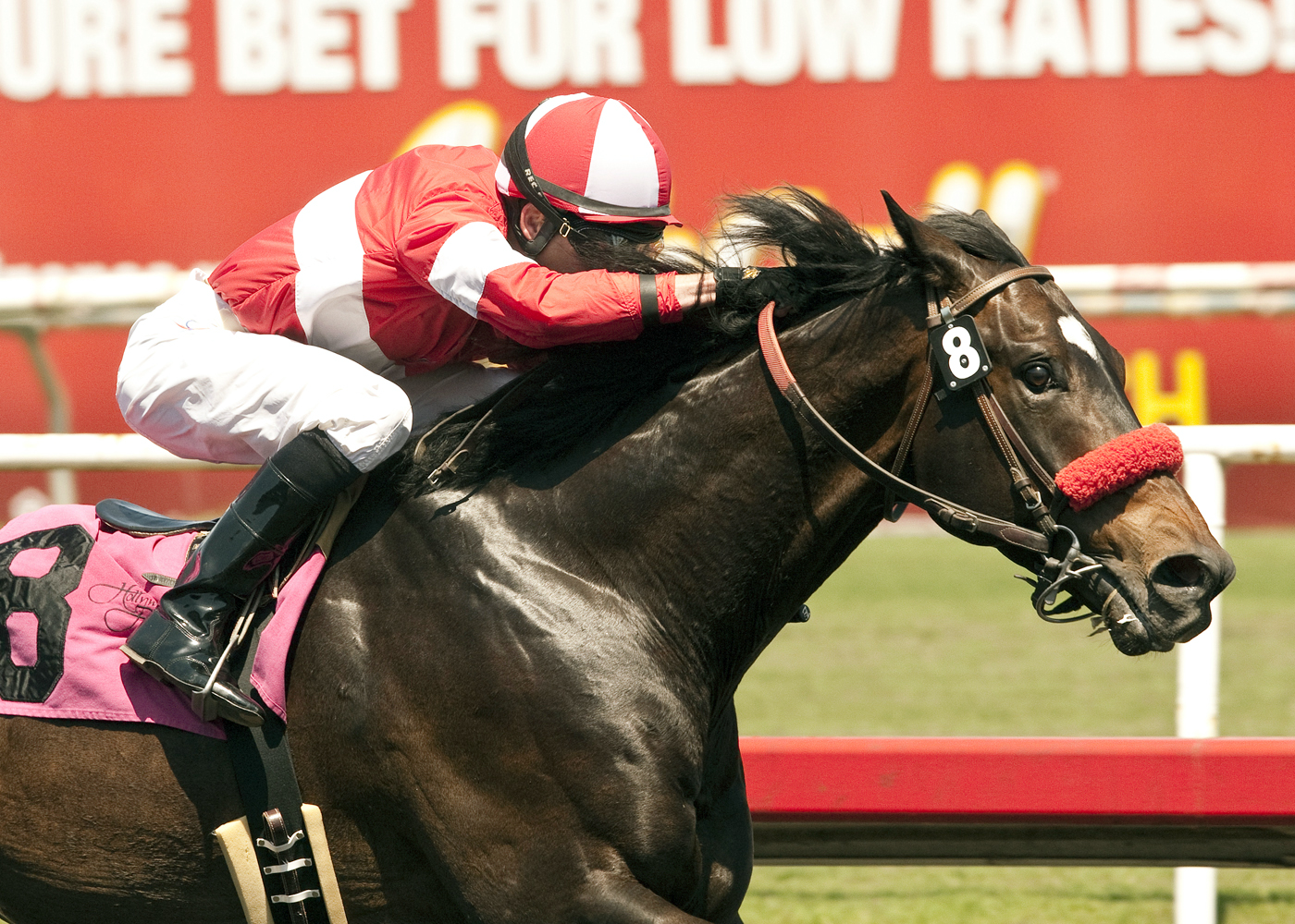 Celebrity Status wins the NTRA Stakes