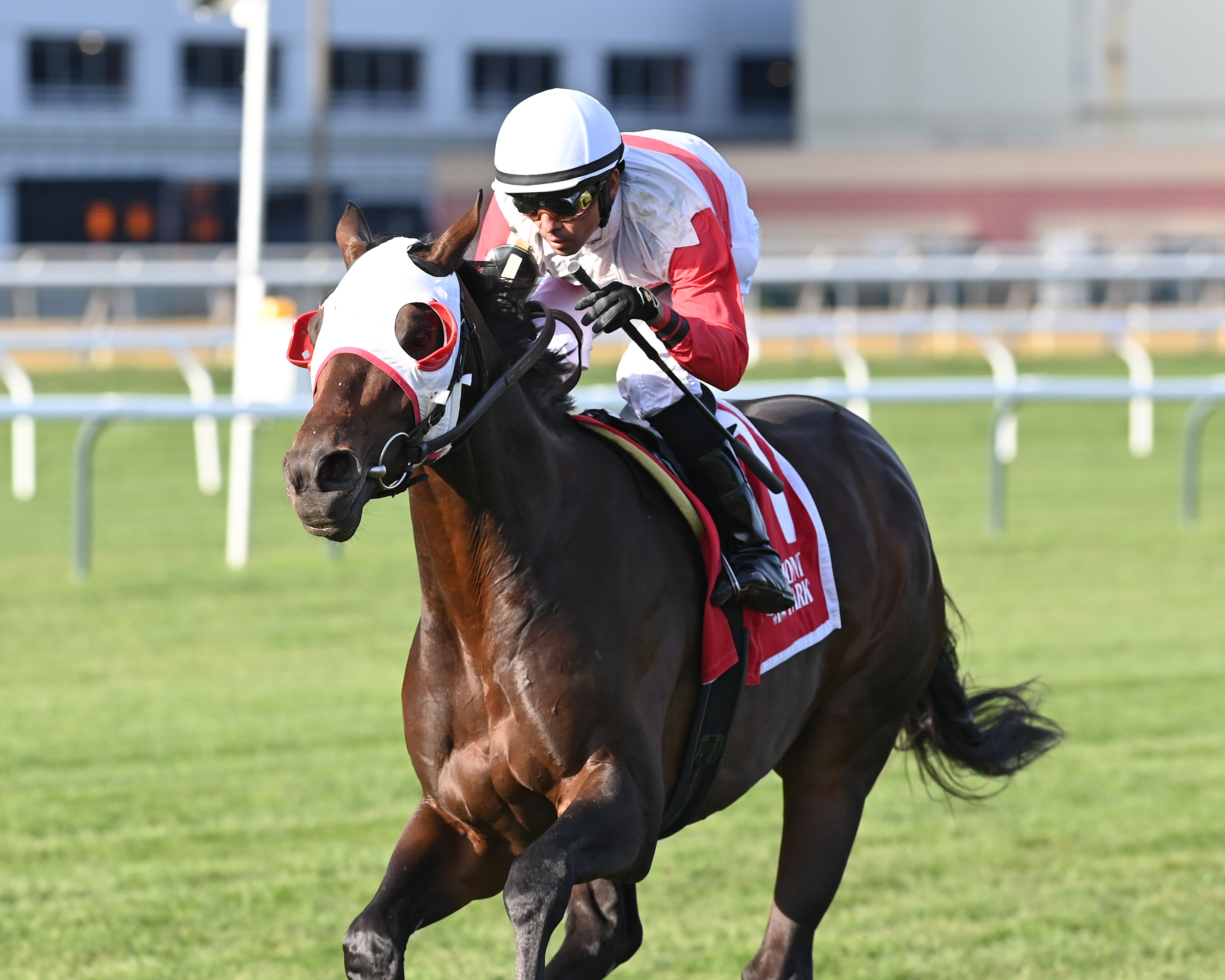 Celestial City wins the Hill Prince at Aqueduct Oct 22 2022