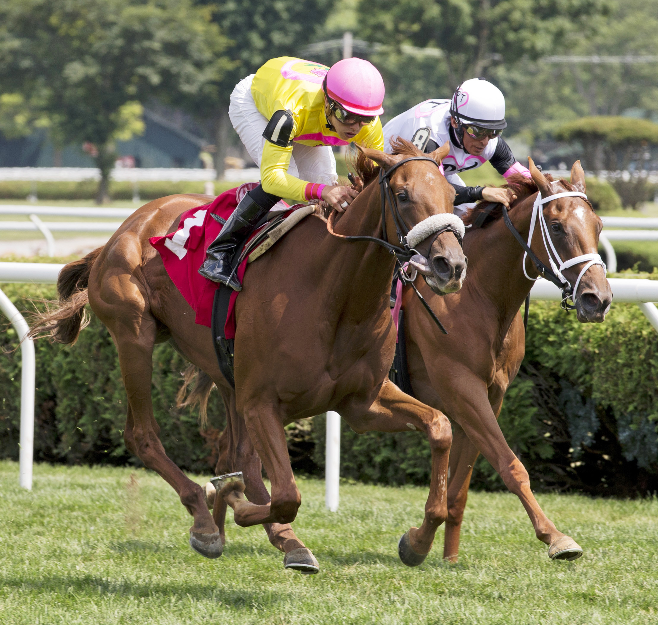 Celestial Sighting wins a maiden race