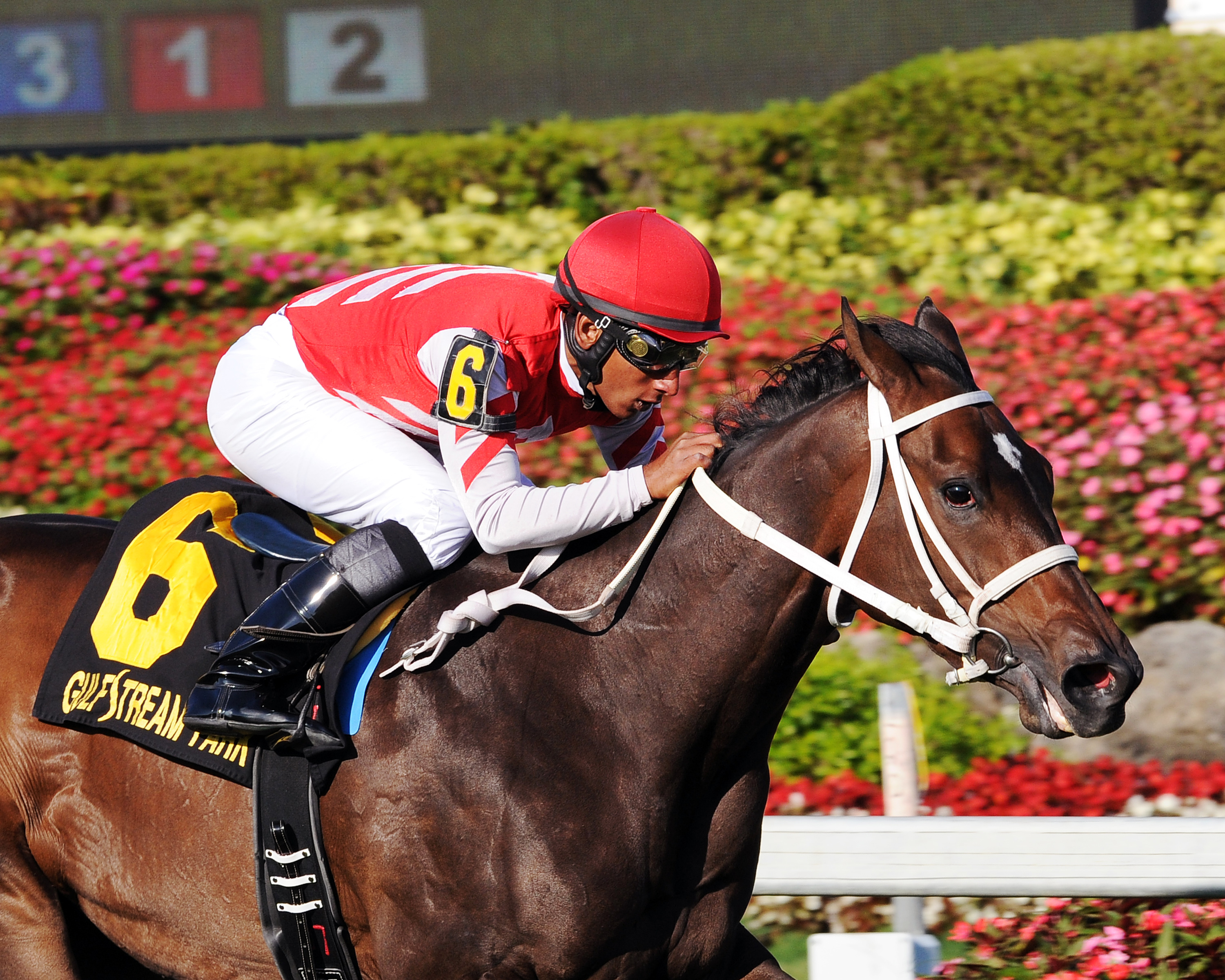 Celestine wins the Sanibel Island Handicap