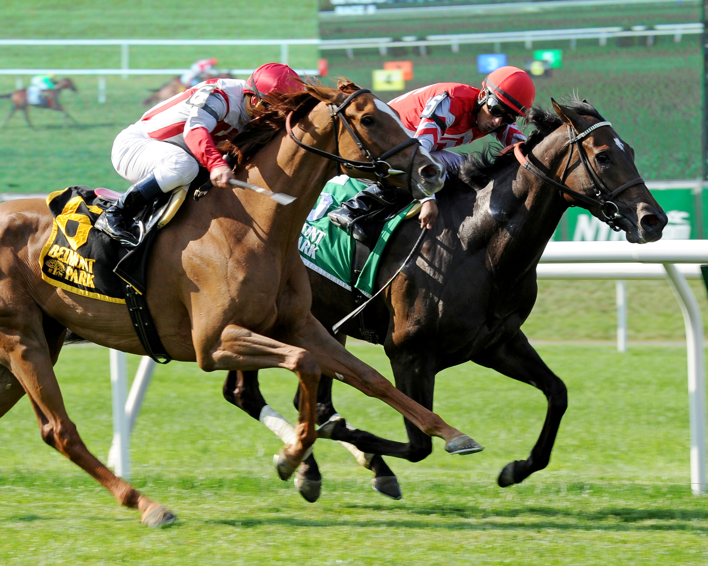 Celestine wins the Wild Applause