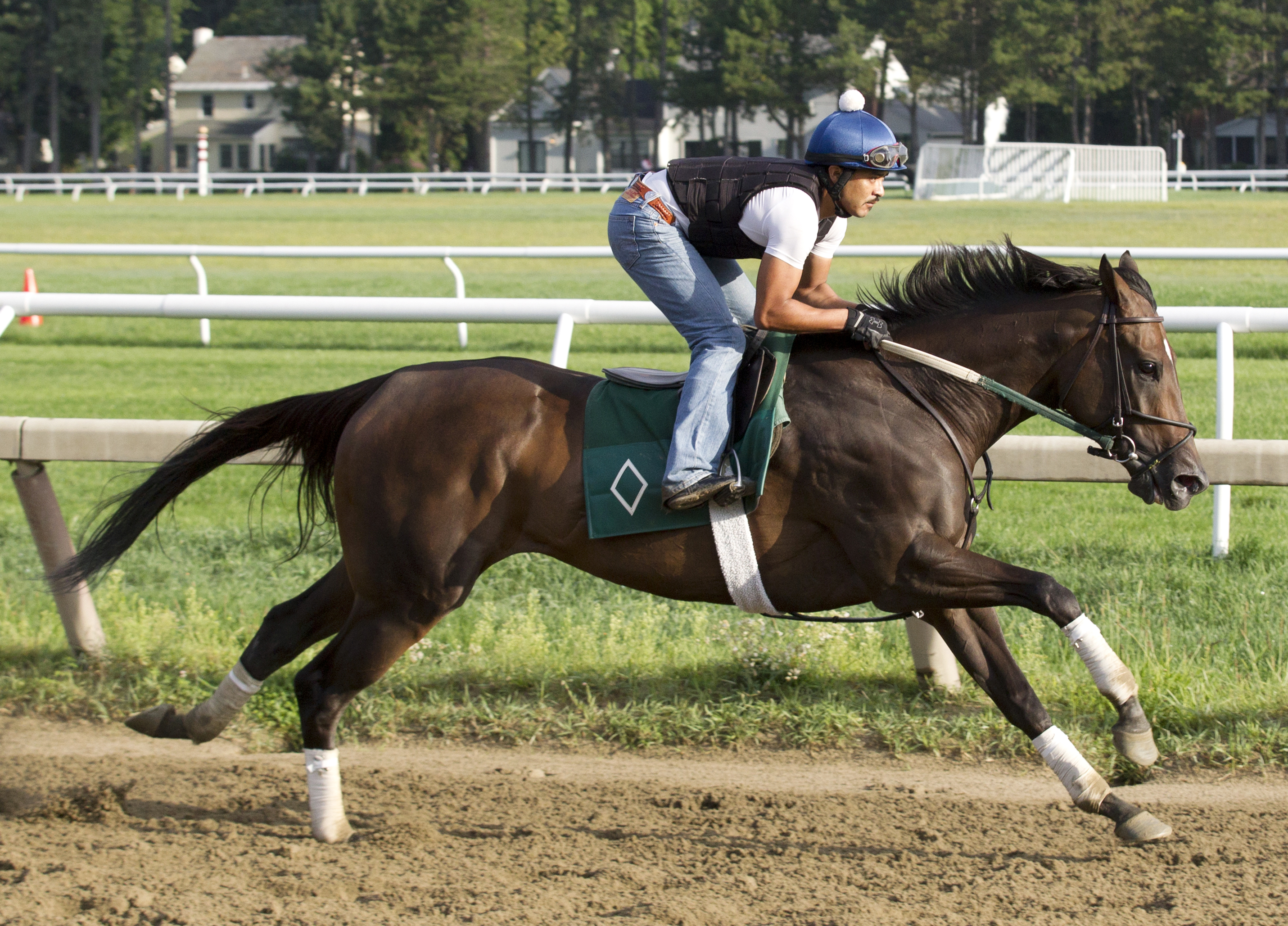 Celestine breezes at Saratoga on Aug. 18