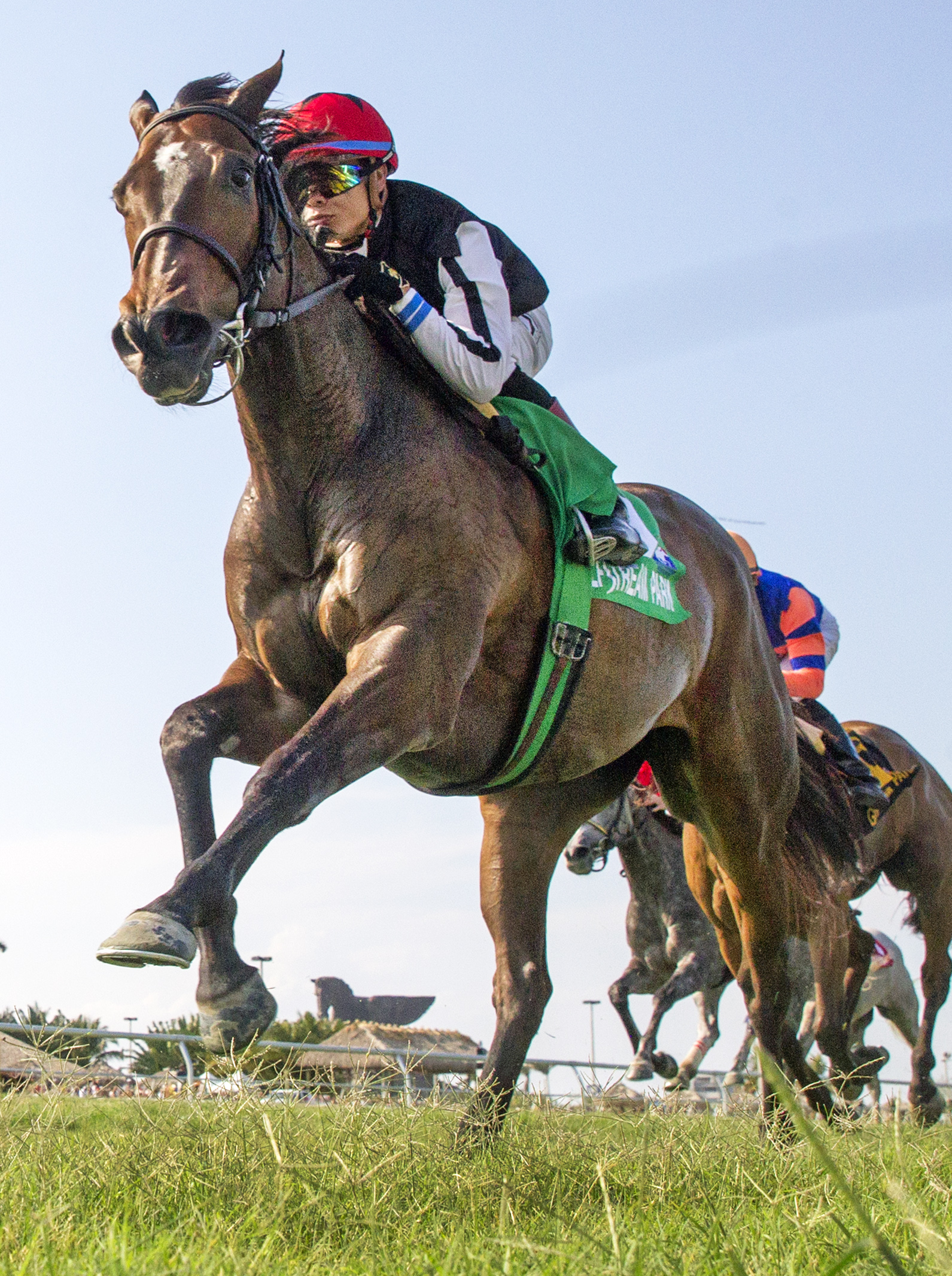 Celestine wins the Honey Fox