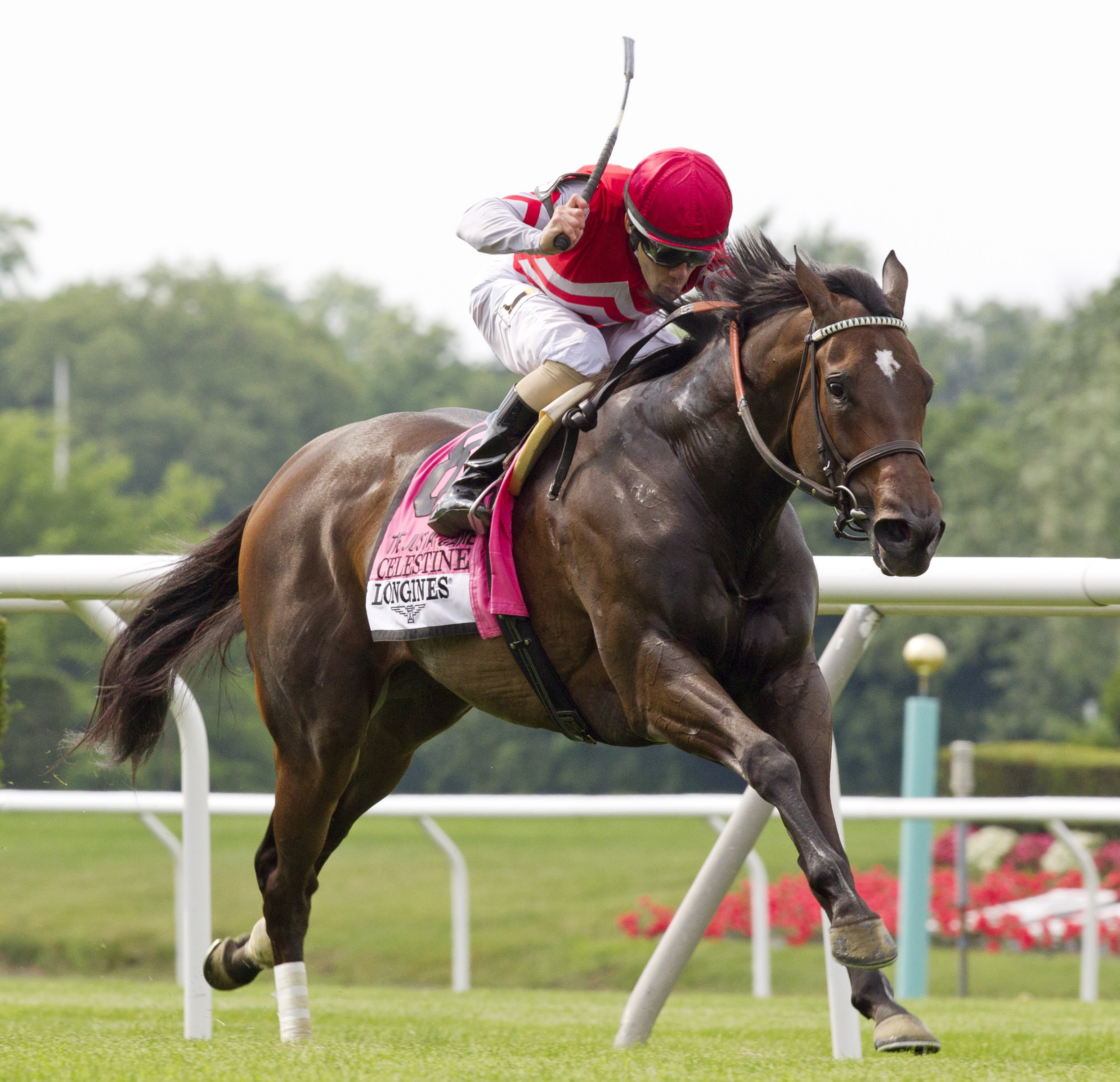 Celestine wins the Just A Game Stakes