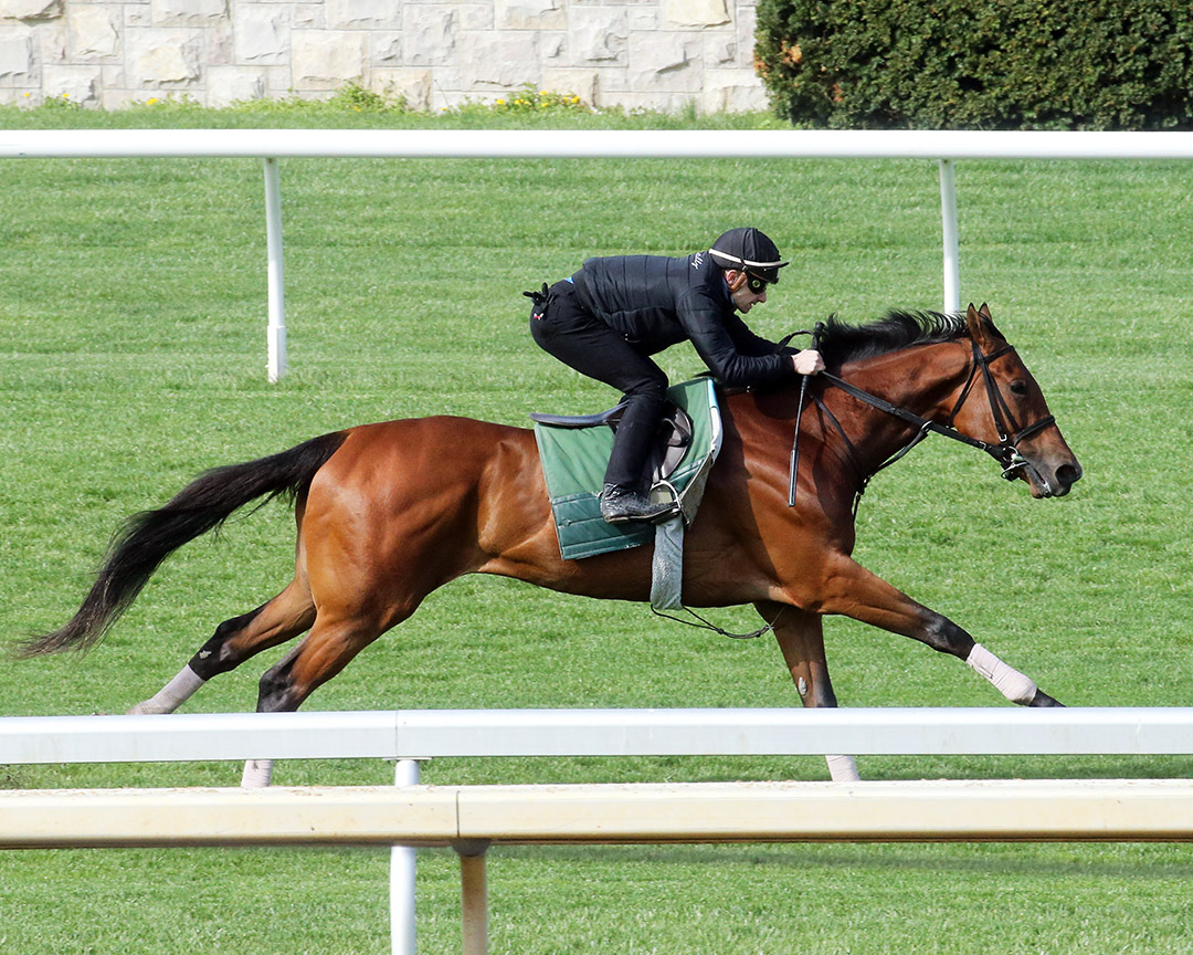 Cellist trains at Keeneland on April 16