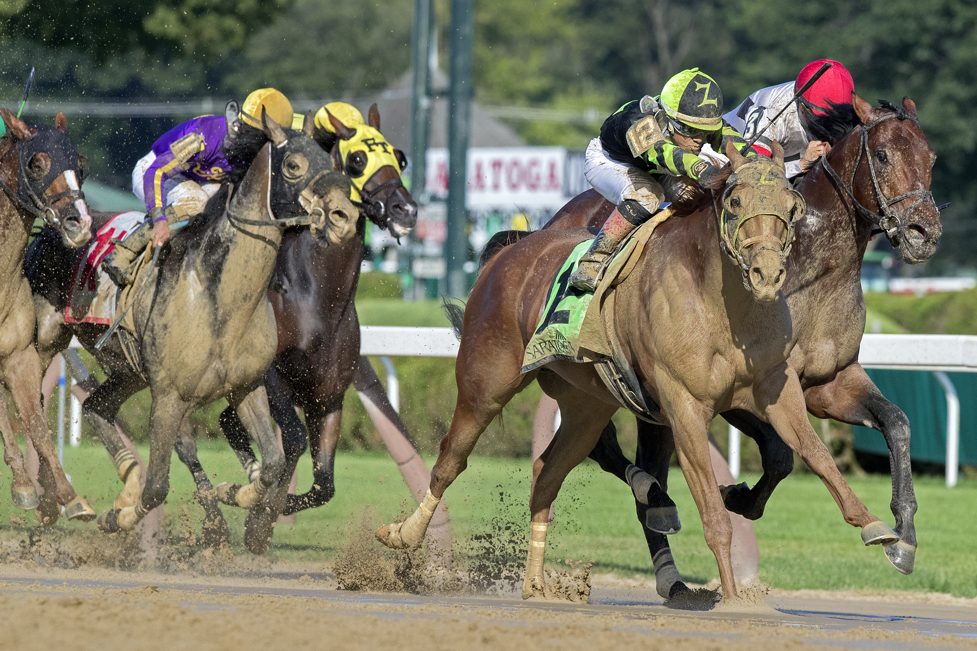 Celtic Chaos wins the 2017 John Morrissey Stakes