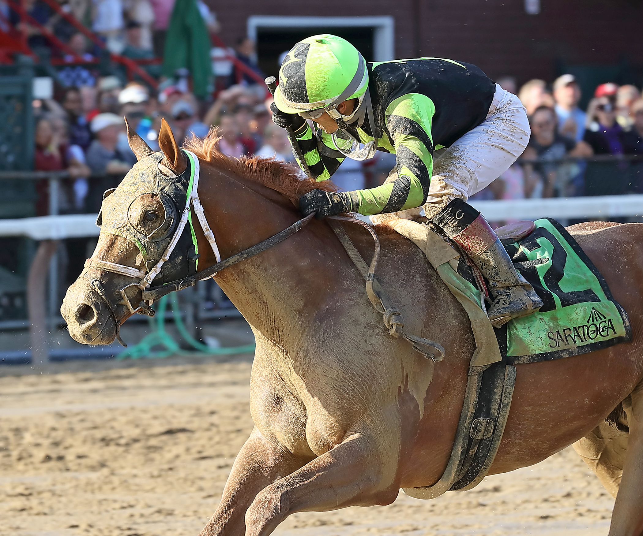 Celtic Chaos wins the John Morrissey Stakes at Saraotga 7.27.17_DRO