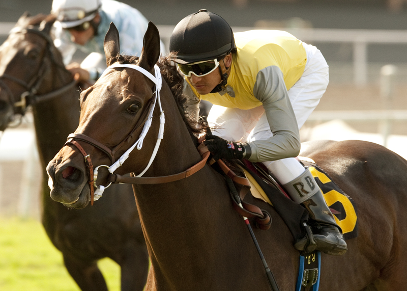 Celtic Princess/Royal Heroine