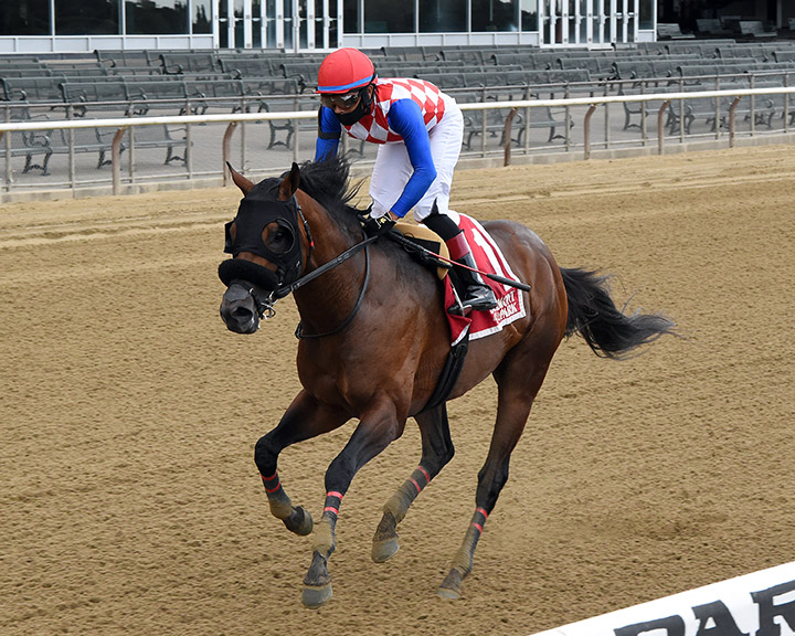 Celtic Striker wins the 2020 Easy Goer Stakes at Belmont Park