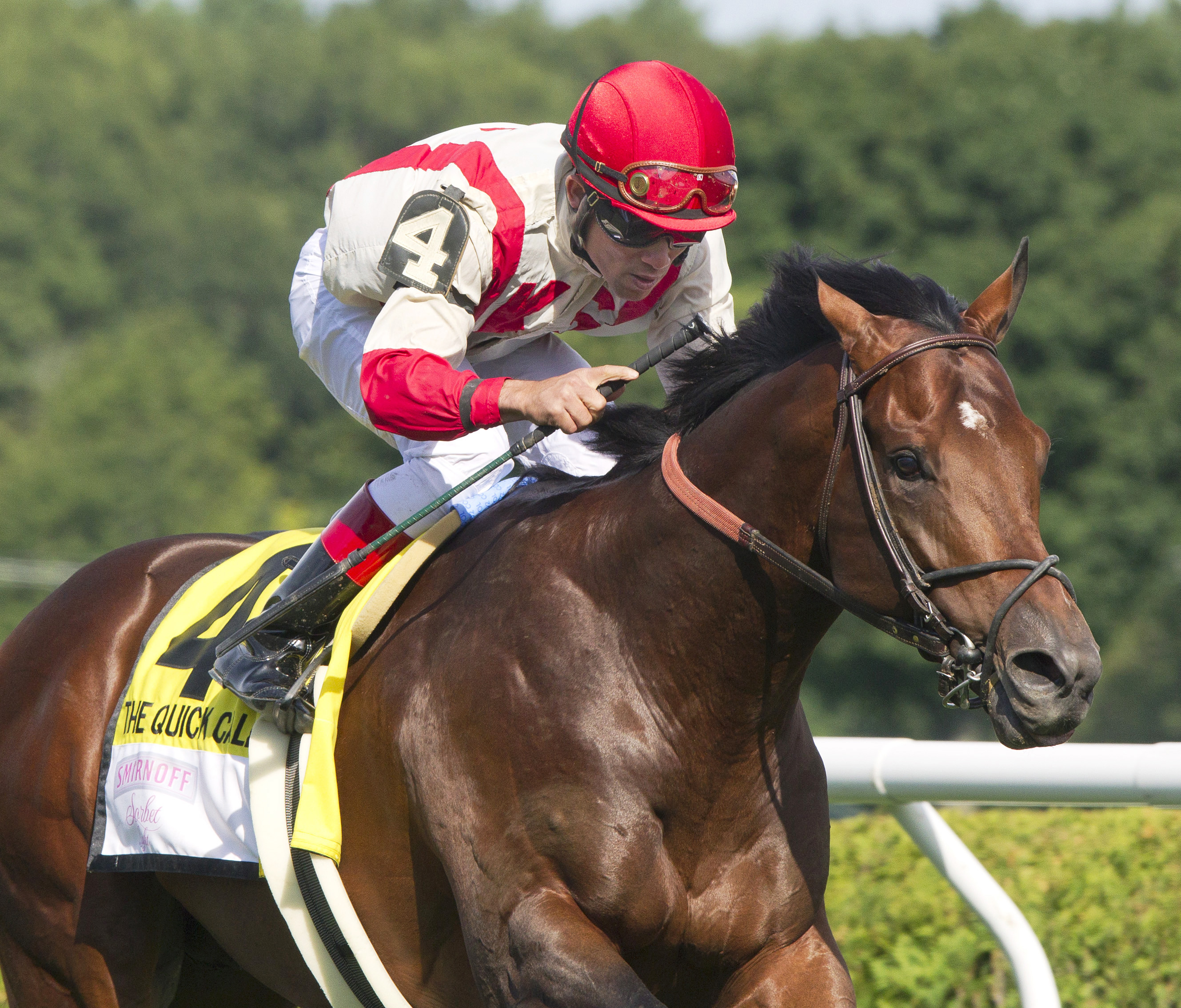 Central Banker wins the 2013 Quick Call Stakes