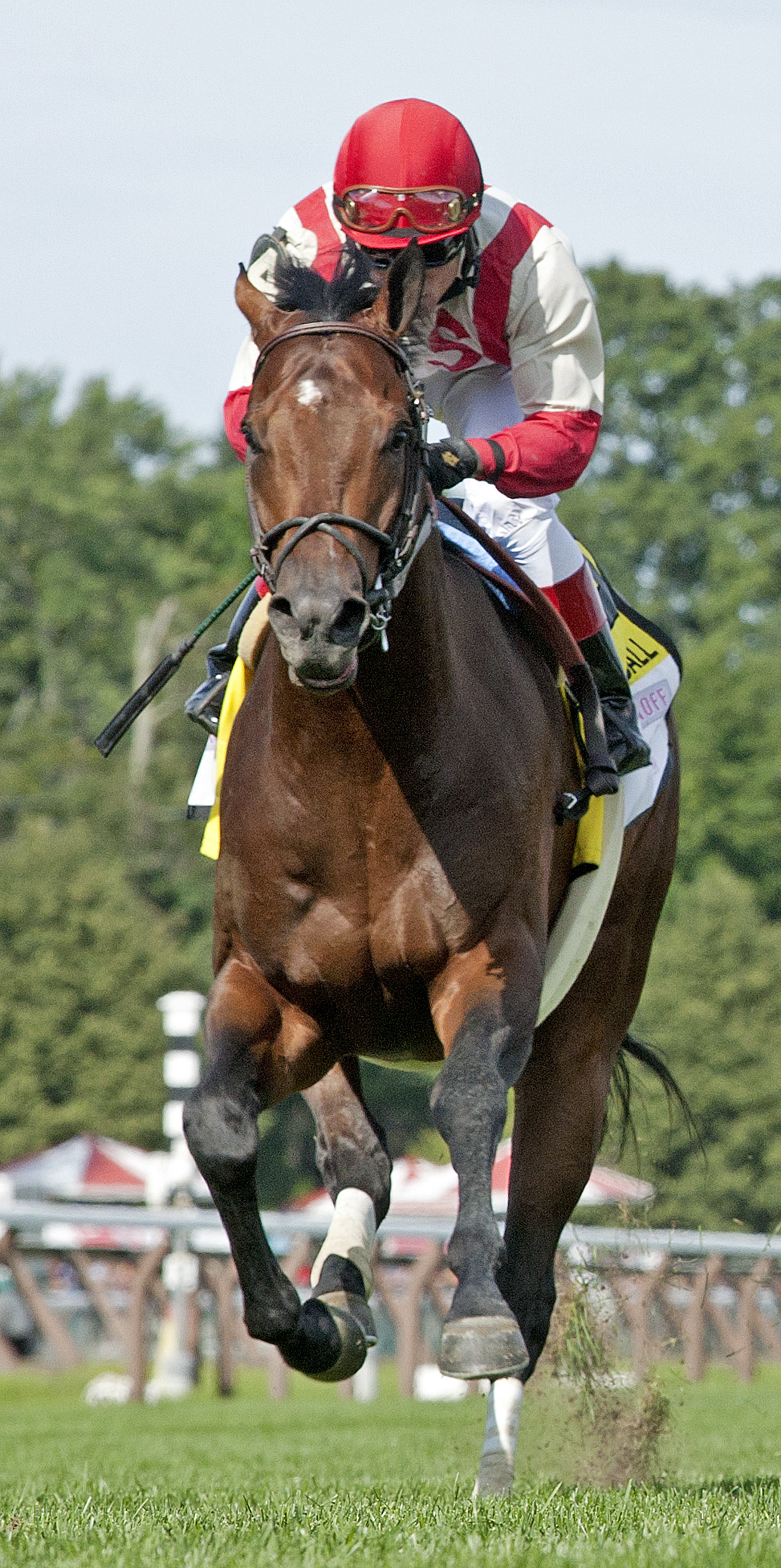 Central Banker