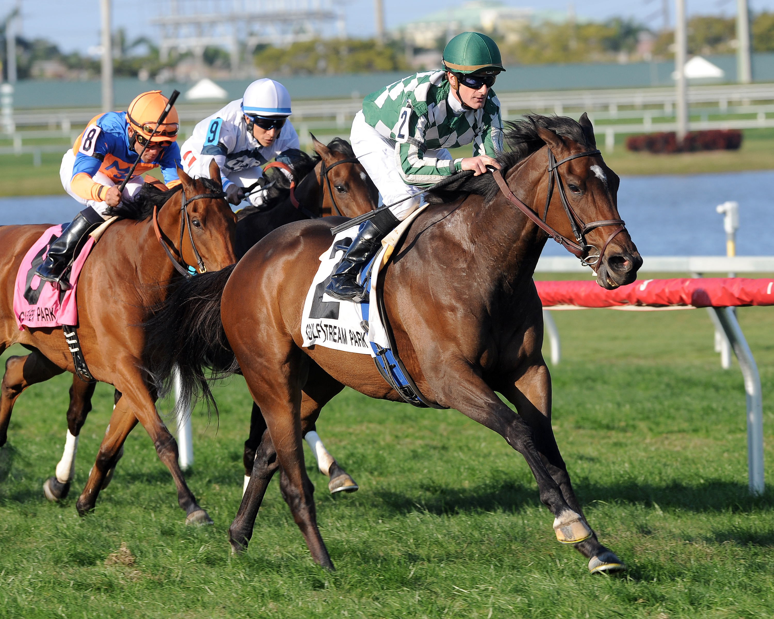 Centre Court, Honey Fox