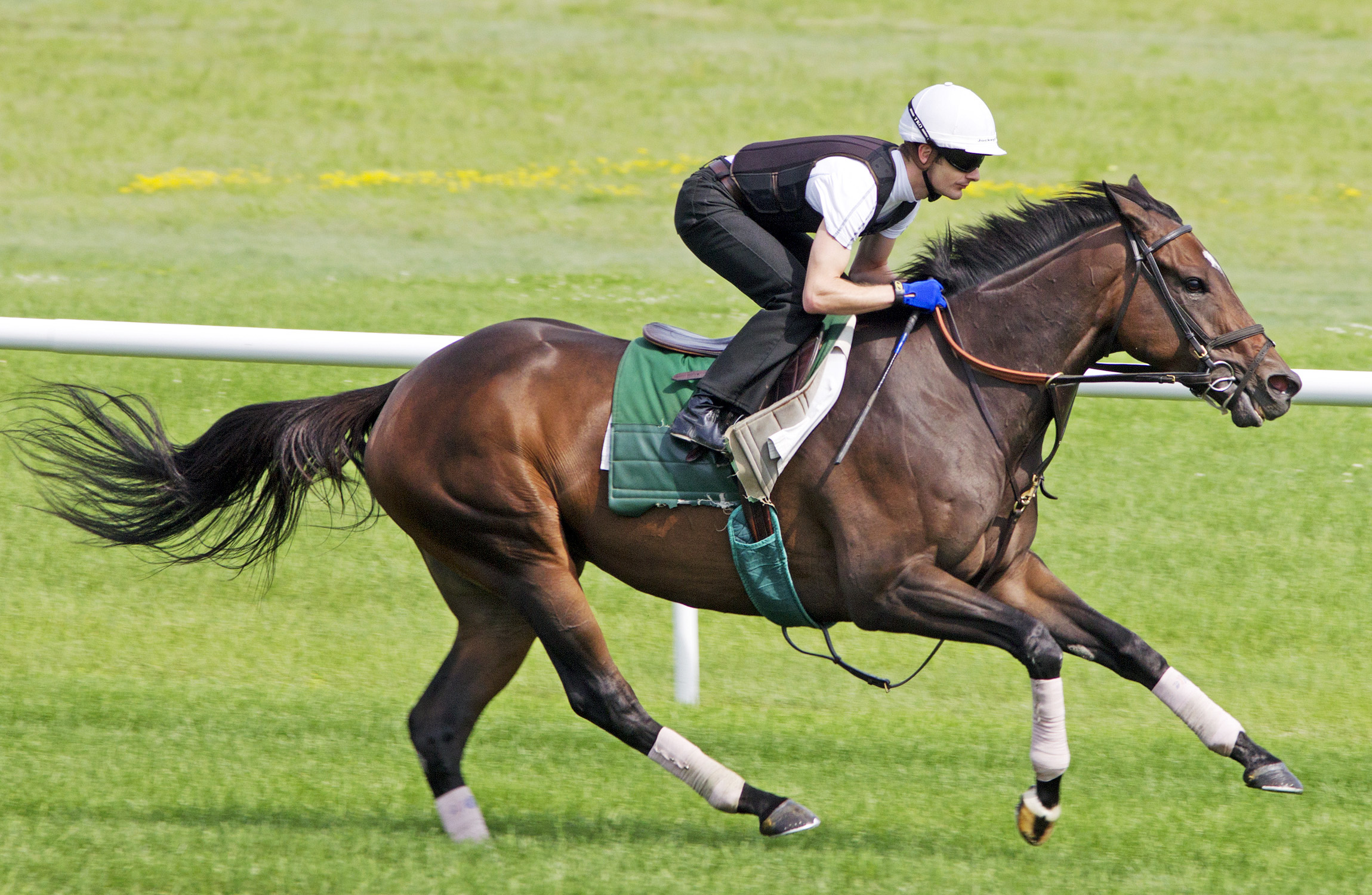 Centre Court trains at Saratoga on July 16