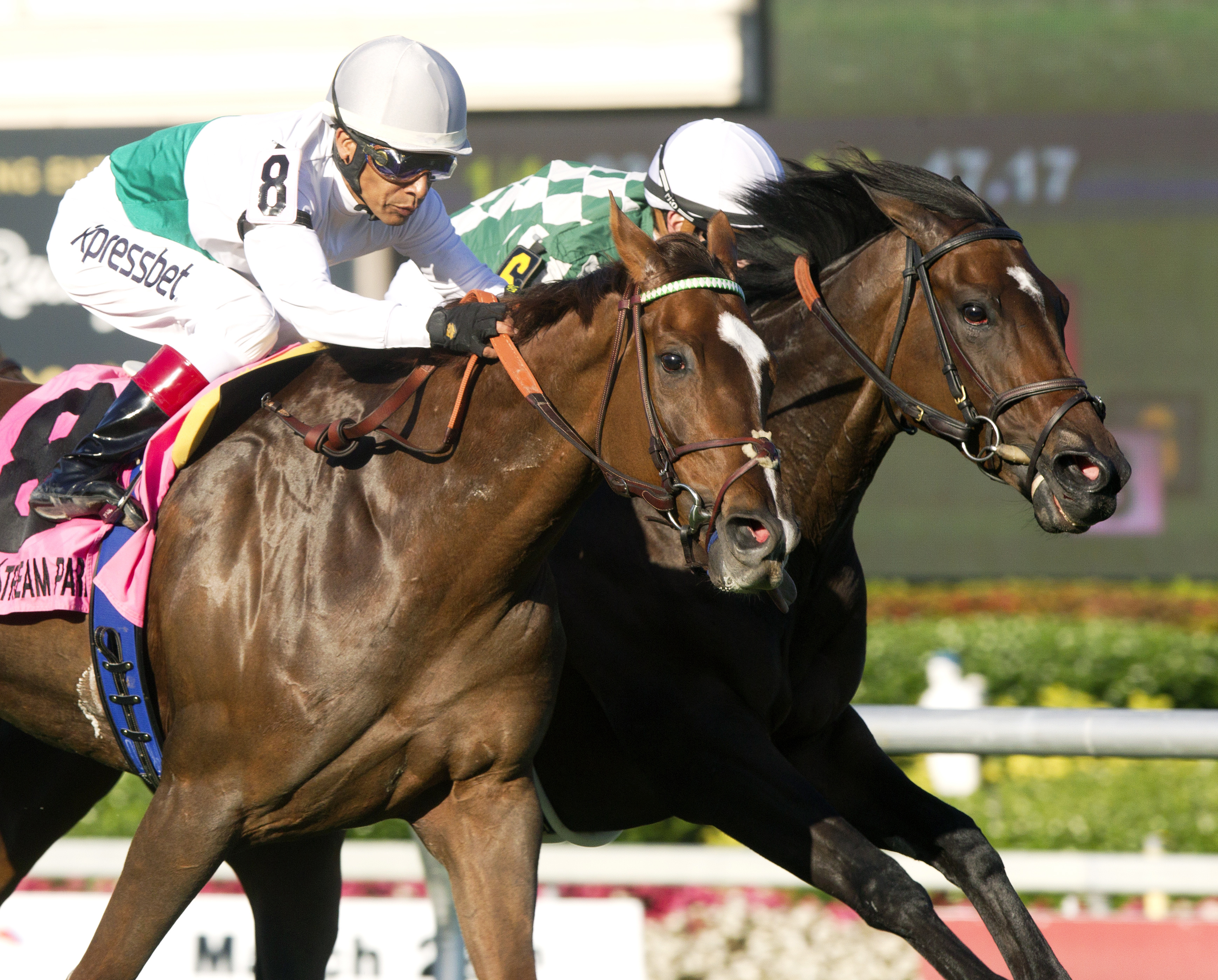 Kitten's Point finishes second in the Honey Fox
