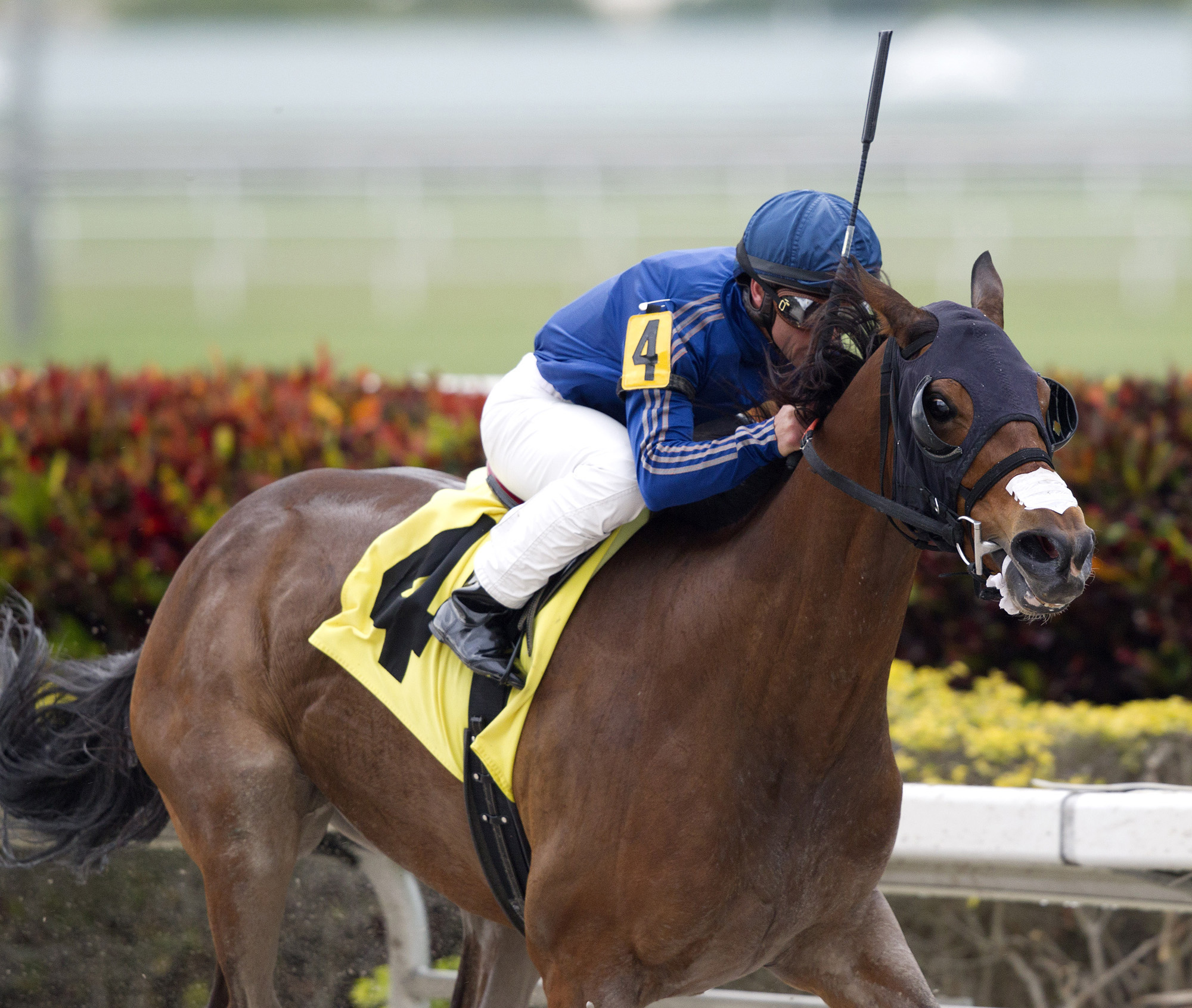 Centrique wins an allowance race