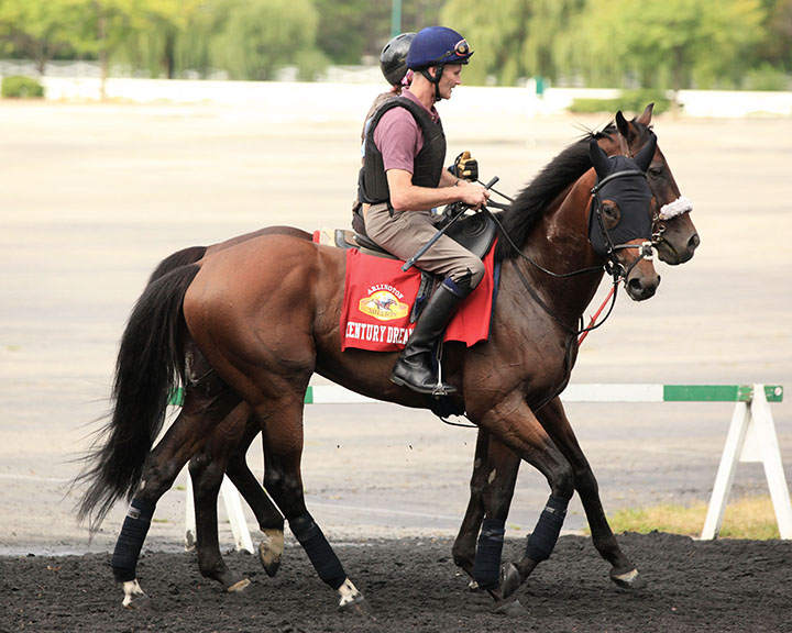 Century Dream at Arlington Park in August 2018