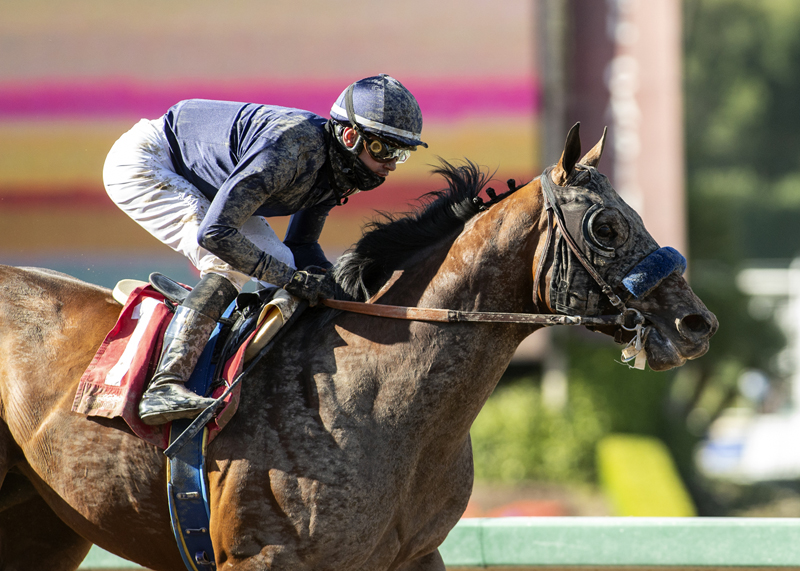 Cezanne wins Kona Gold 4-18-2021