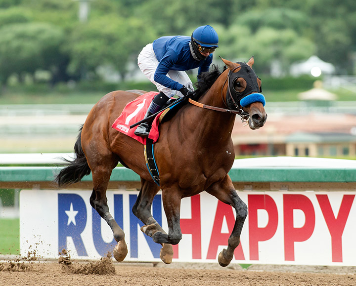 Cezanne wins his career debut at Santa Anita Park on June 6
