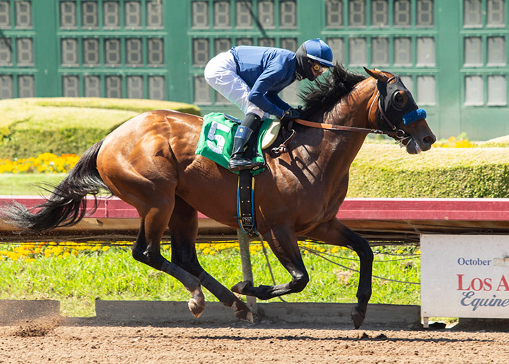 Cezanne wins a July 2 allowance at Los Alamitos Race Course