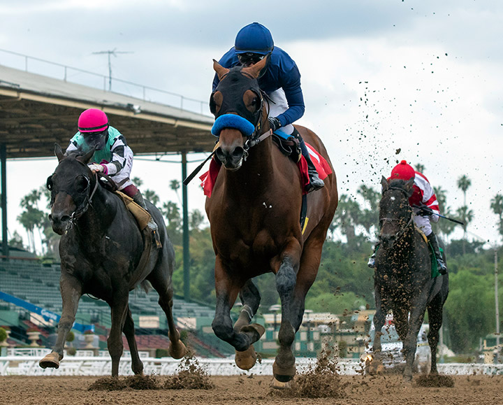 Cezanne wins a June 6 maiden race at Santa Anita Park