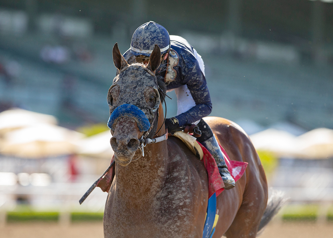Cezanne wins the 2021 Kona Gold Stakes at Santa Anita Park