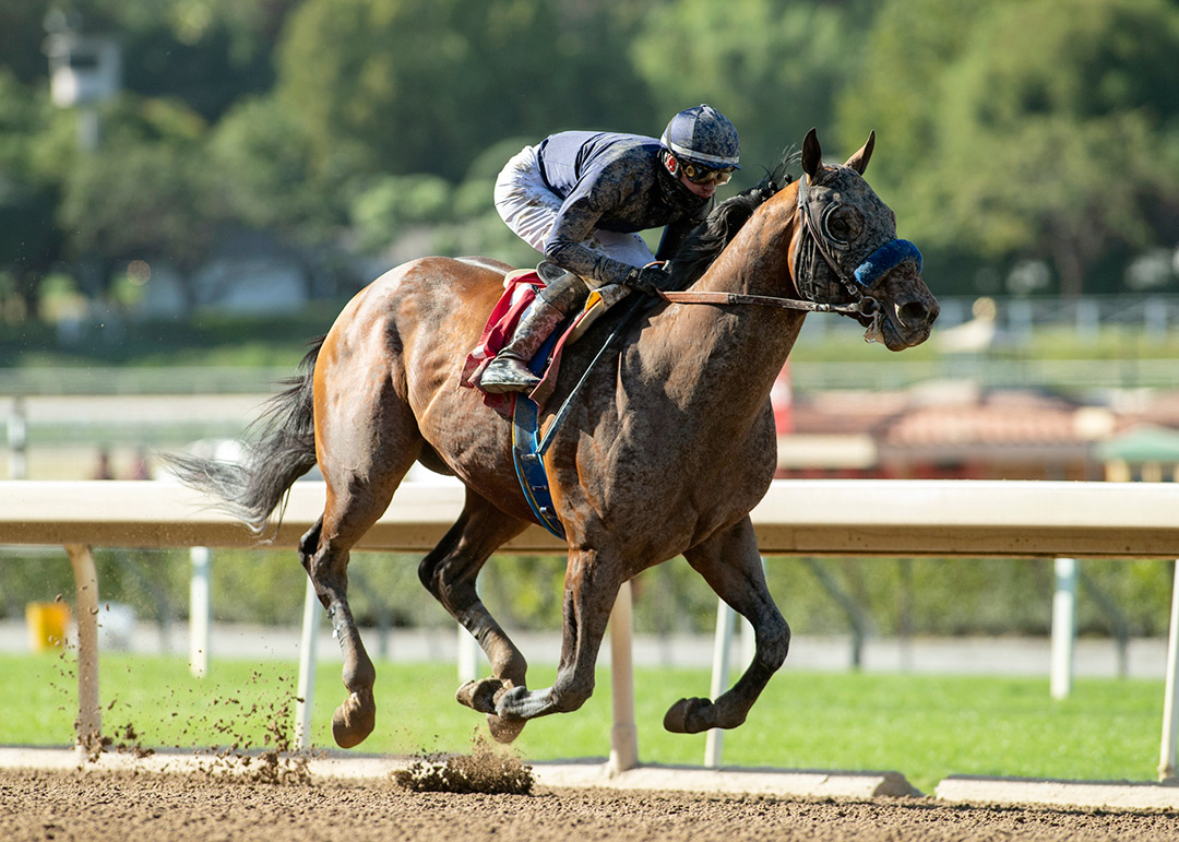 Cezanne wins the 2021 Kona Gold Stakes at Santa Anita Park