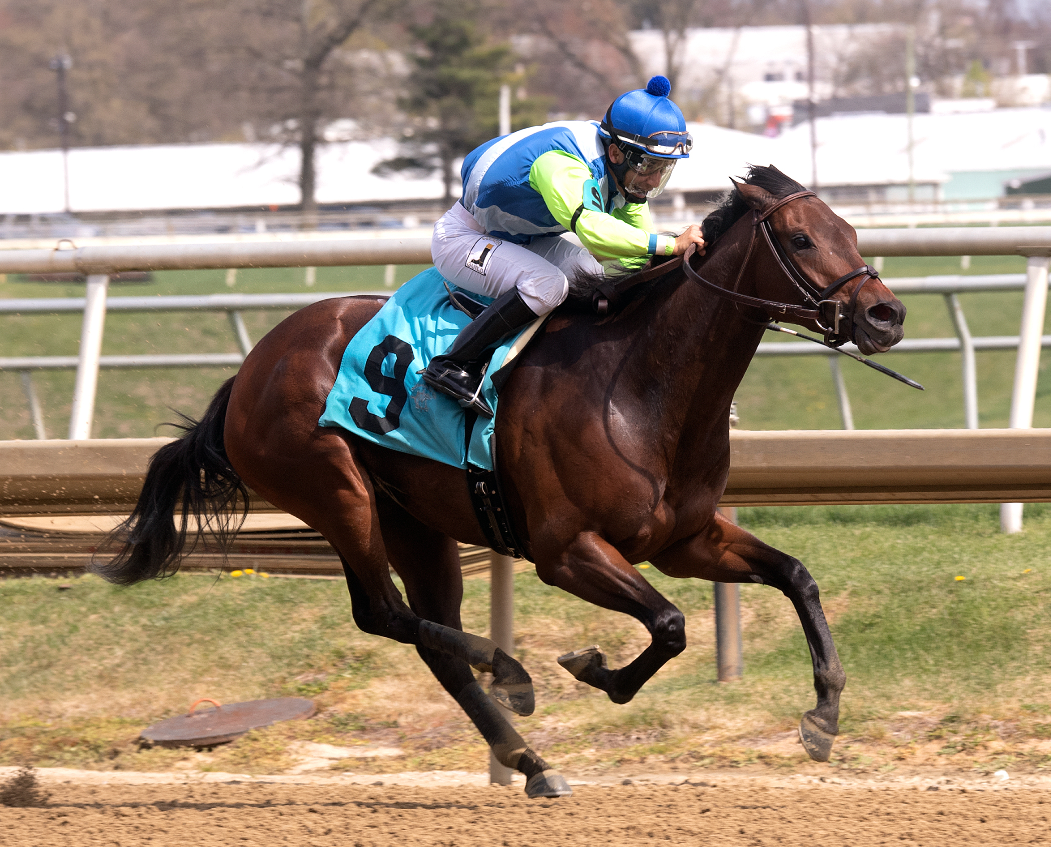 Chalon wins the 2018 Primonetta Stakes