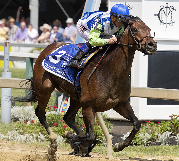 Chalon wins the 2019 Skipat Stakes