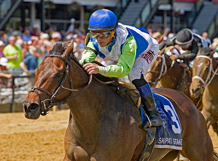 Chalon wins the 2019 Skipat Stakes at Pimlico Race Course