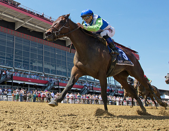 Chalon wins the 2019 Skipat Stakes at Pimlico Race Course