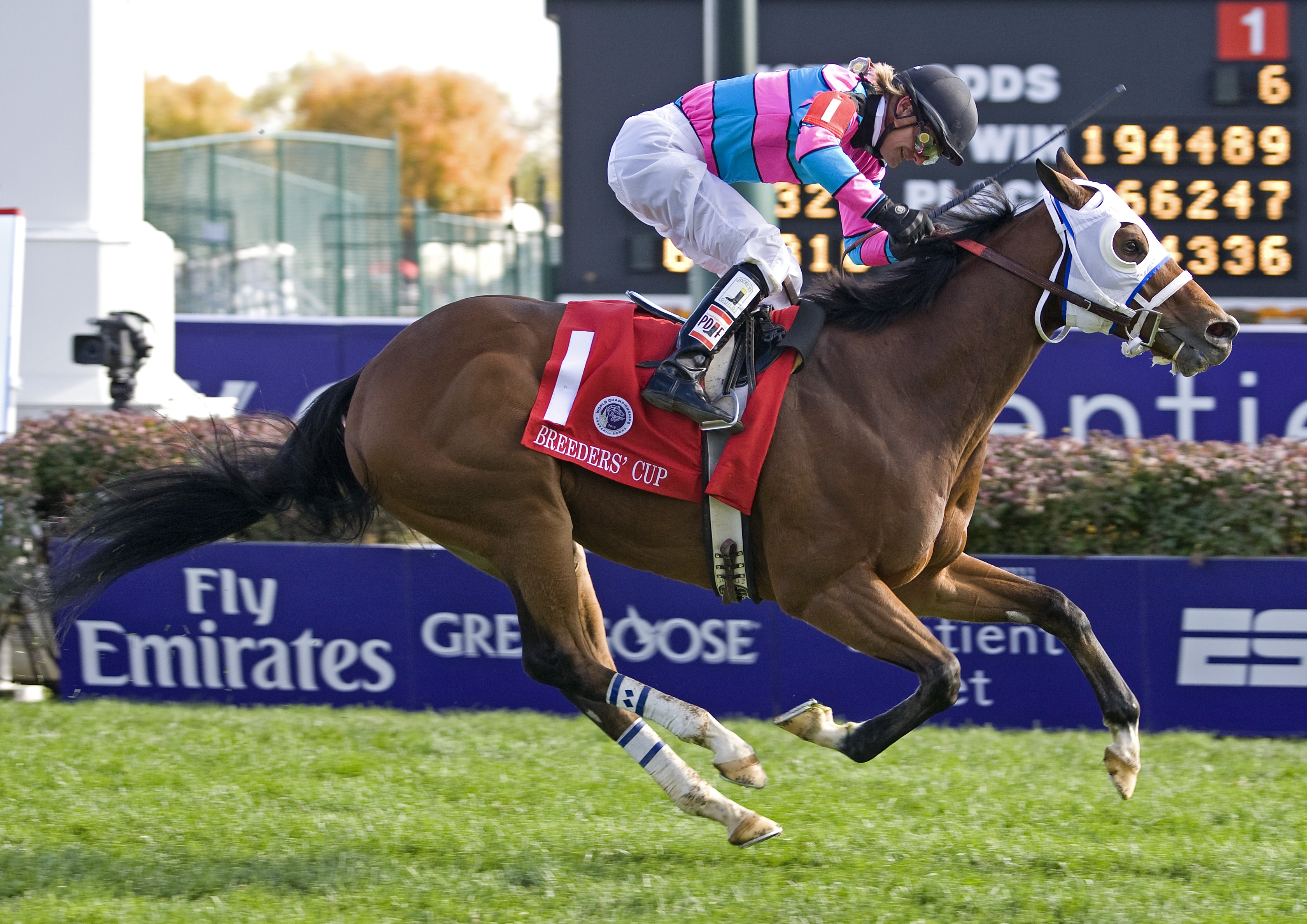 Chamberlain Bridge wins BC Turf Sprint