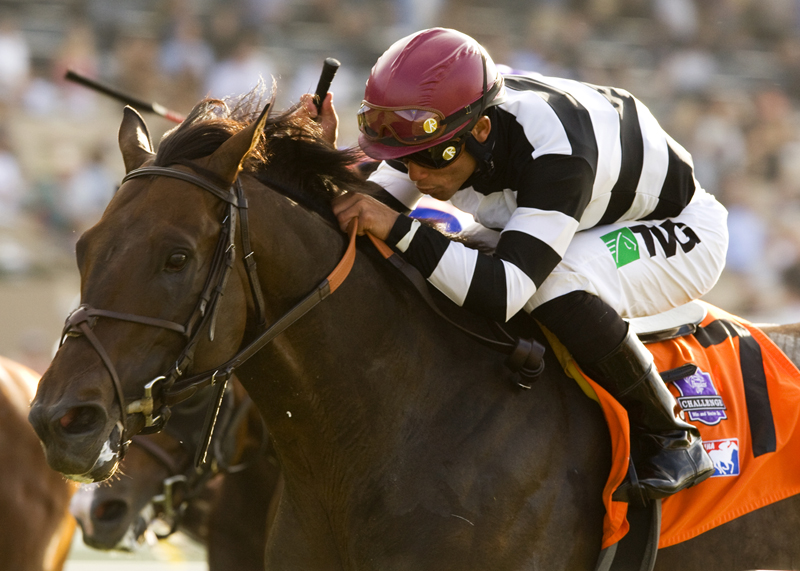 Champ Pegasus