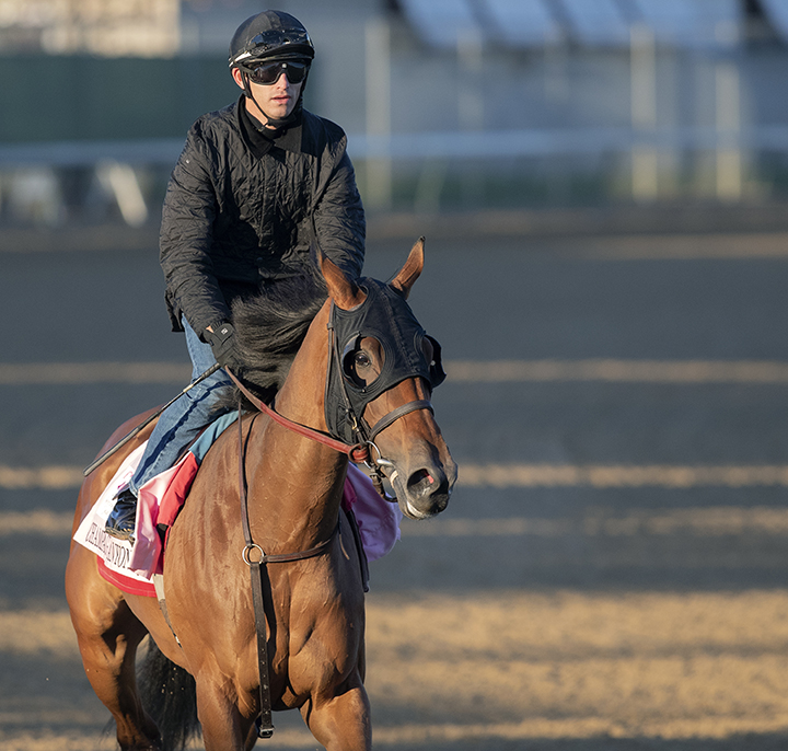 Champagne Anyone at Churchill on April 22