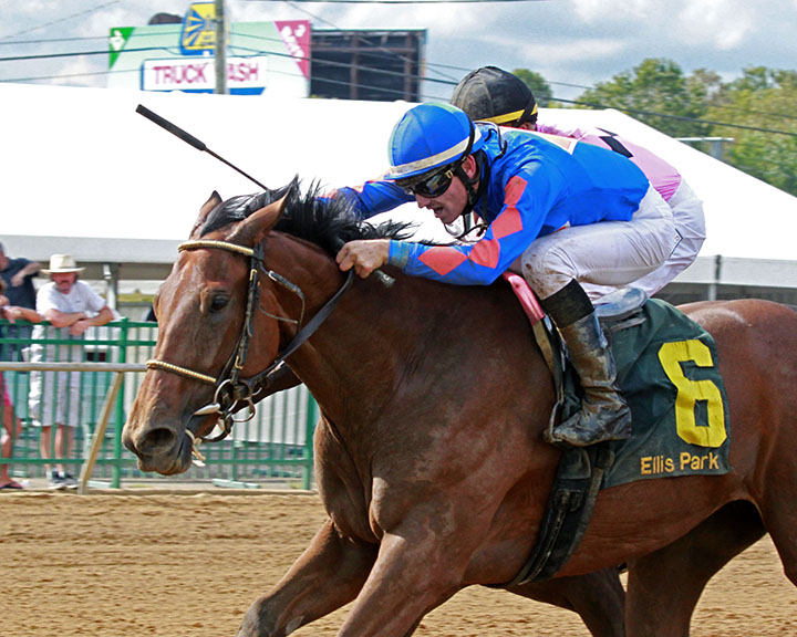 Champagne Anyone wins an Aug. 31 maiden race at Ellis Park