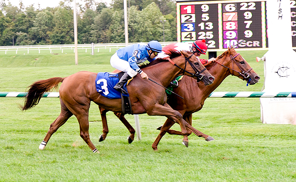 Champagne Dancer 9-15-2011