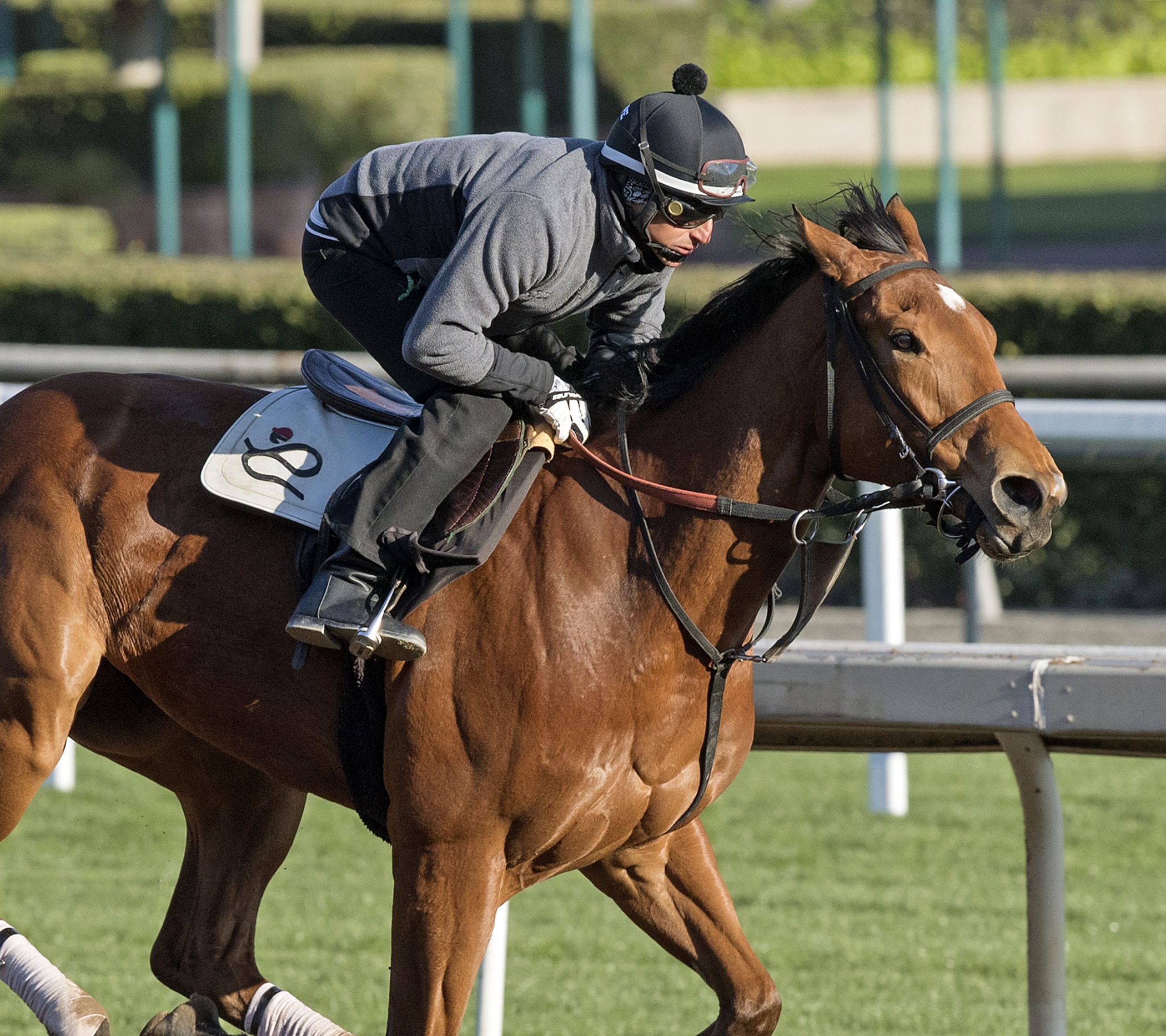 Champagne Room trains at Santa Anita on Feb. 26
