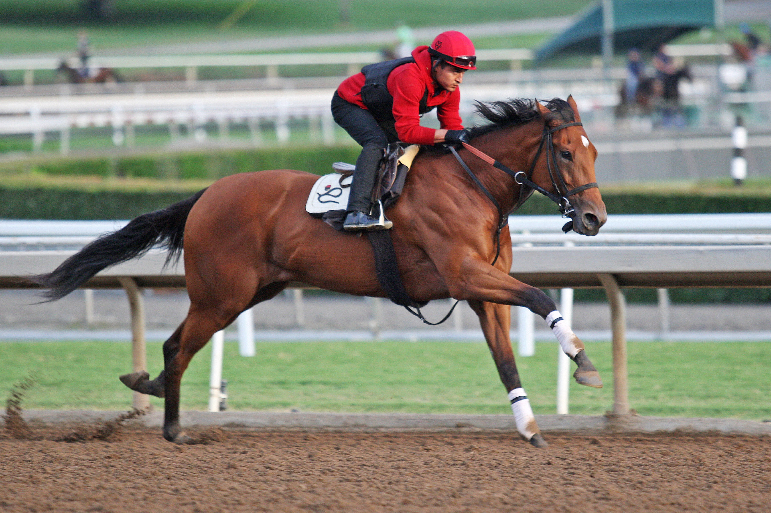 Champagne Room trains at Santa Anita on Oct. 20