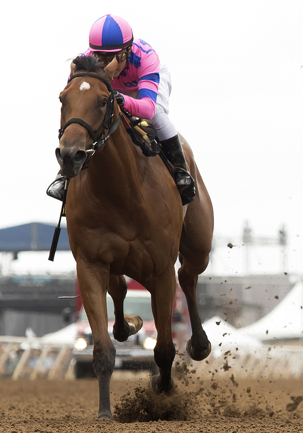 Champagne Room wins the Sorrento