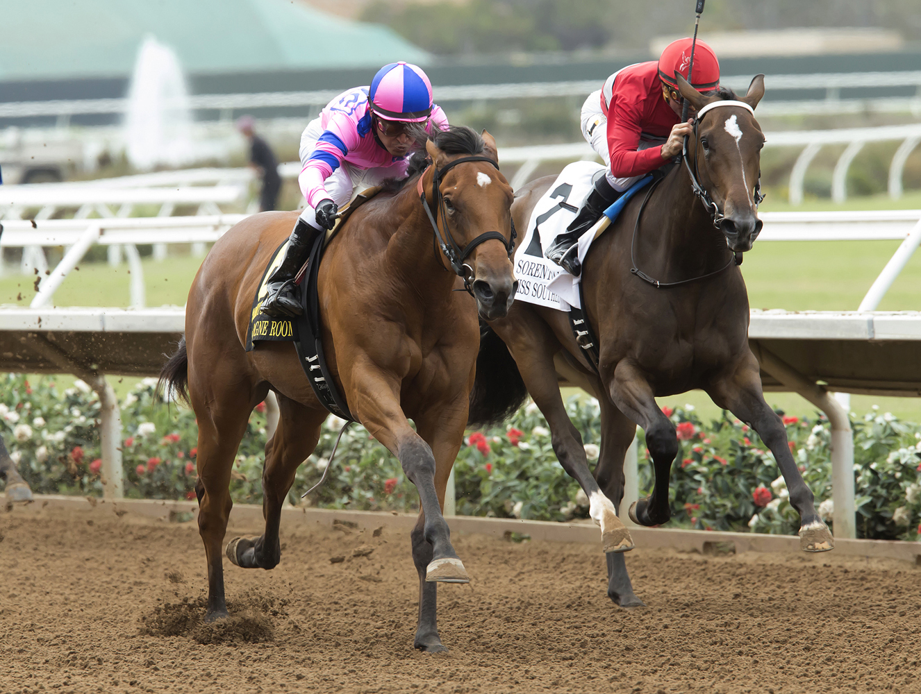 Champagne Room wins the Sorrento