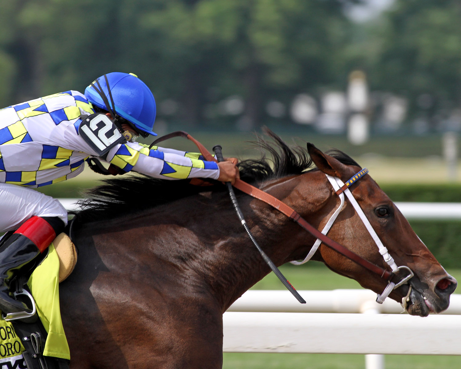 Champagne d'Oro - Eclipse Awards