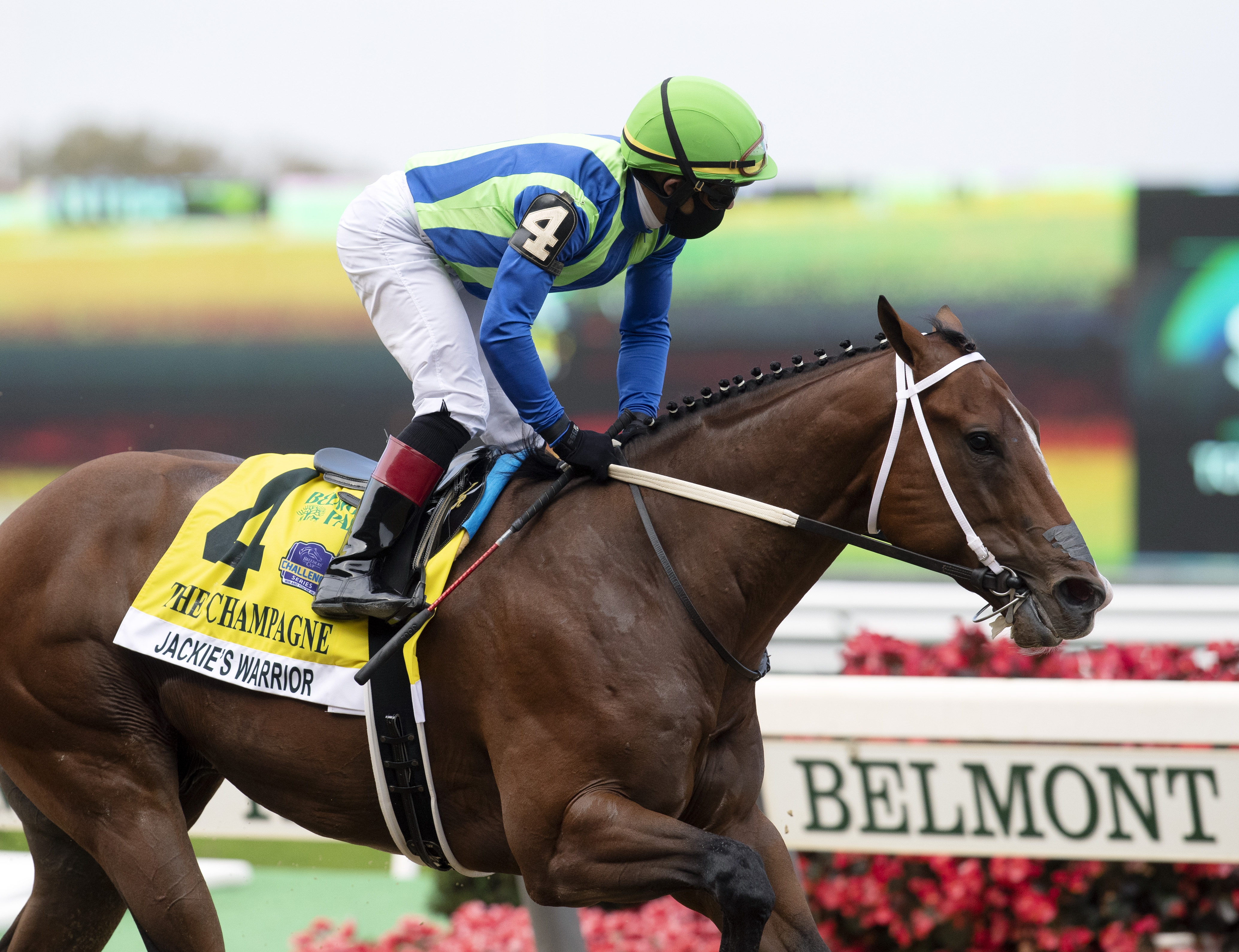 Jackie's Warrior/Champagne