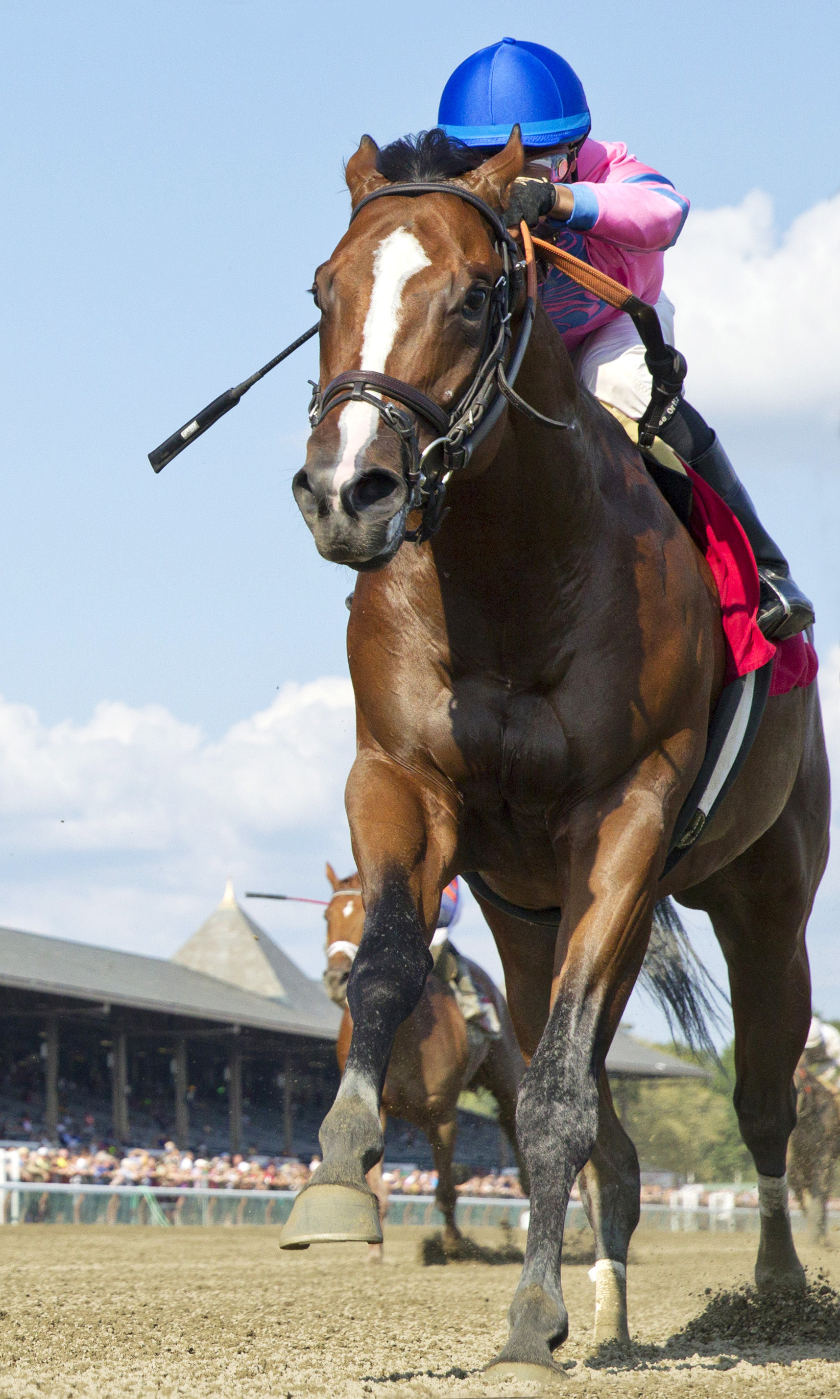 Championofthenile wins a maiden race