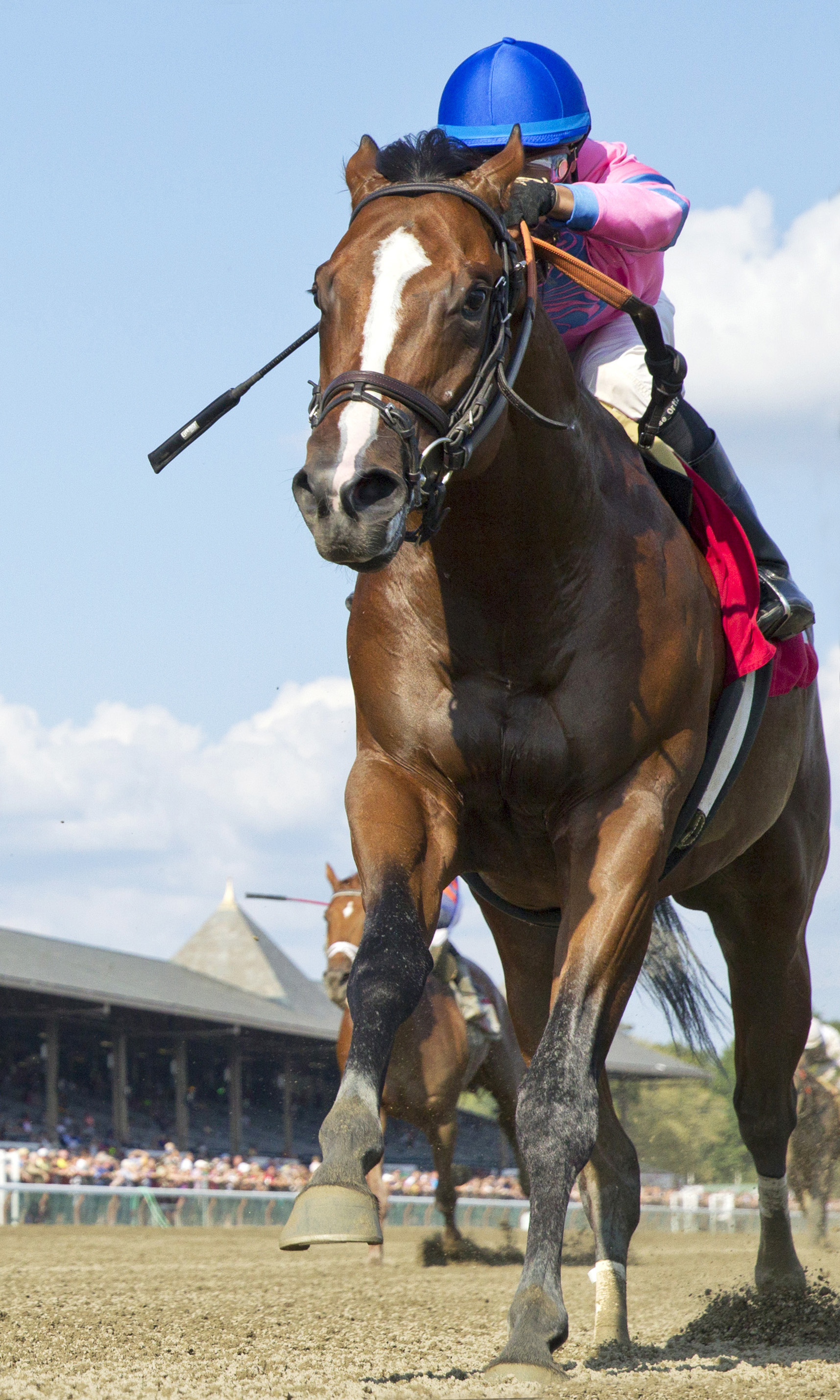 Championofthenile wins a maiden race