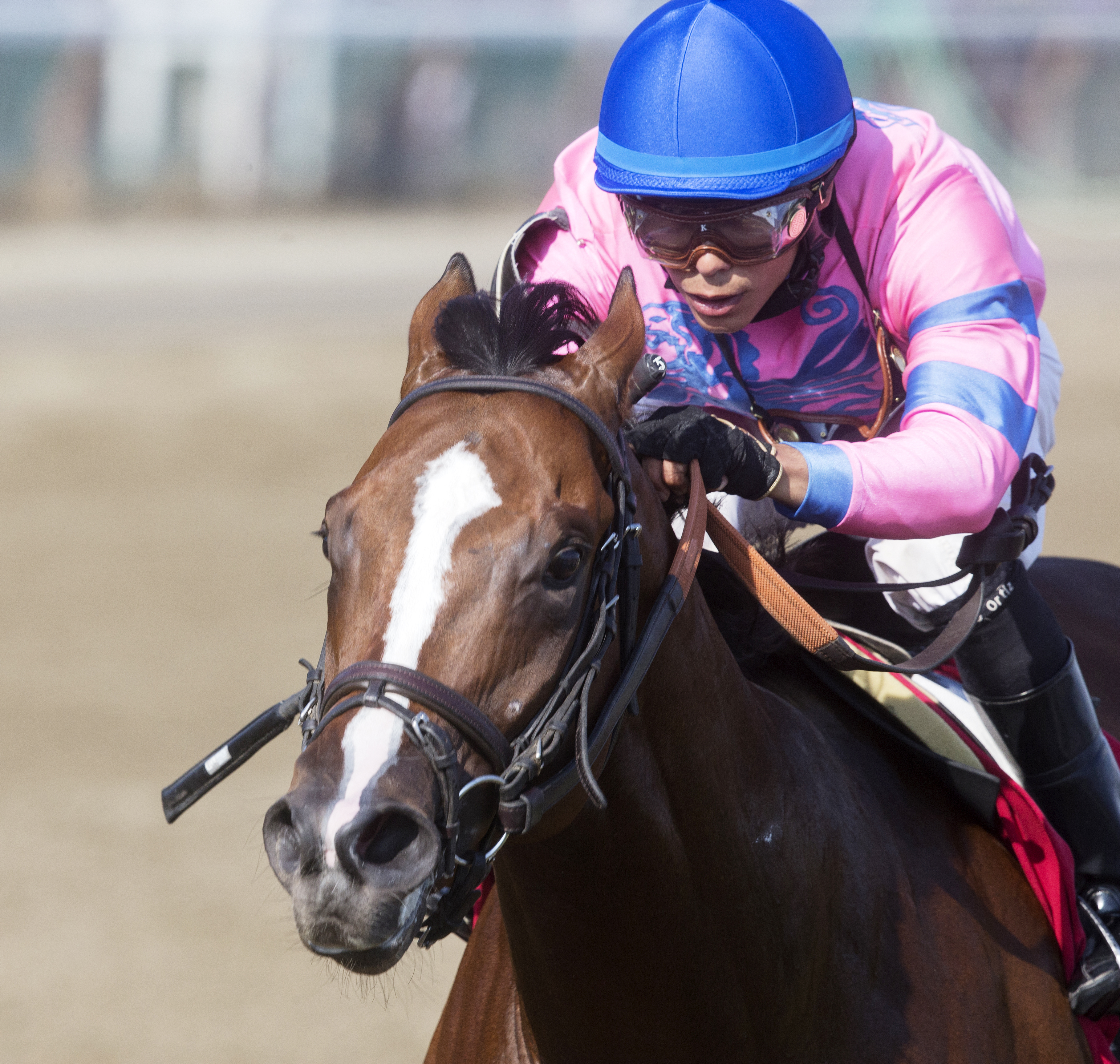 Championofthenile wins a maiden race
