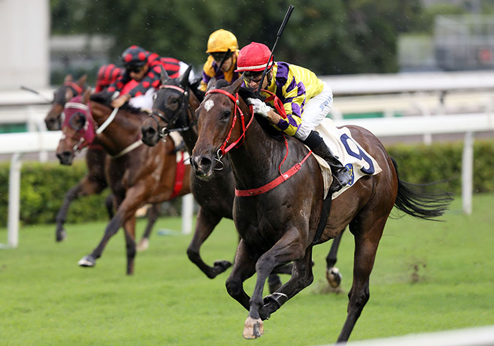 Champions Way wins the Lion Rock Trophy at Sha Tin Racecourse